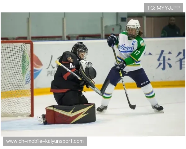 冰球前锋一条龙破门,评论区直接刷屏